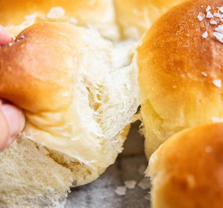Dinner Rolls
