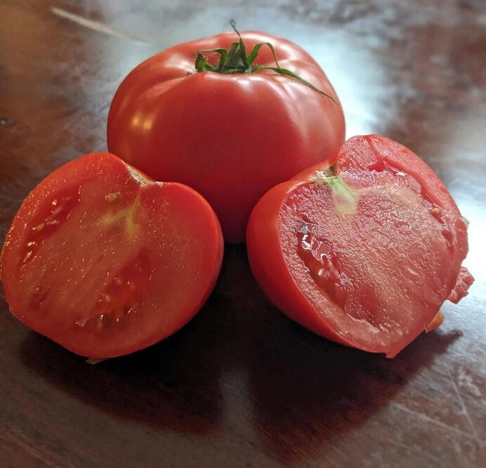 South Sea Tomatoes