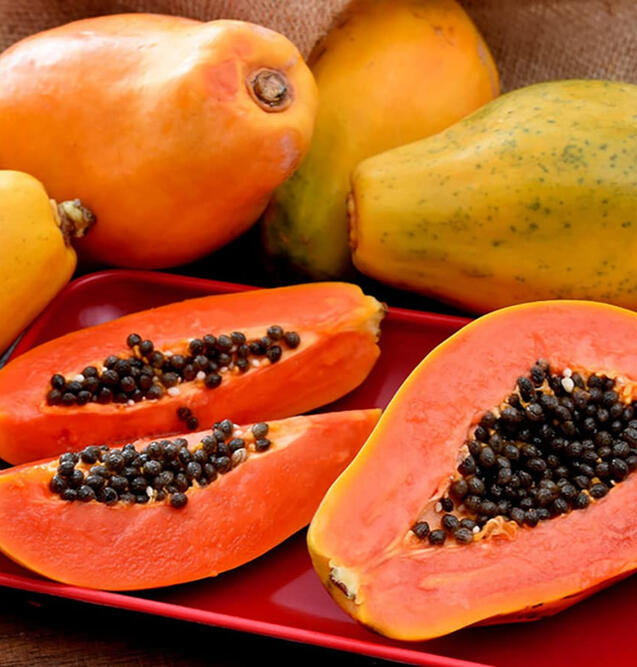 Papaya