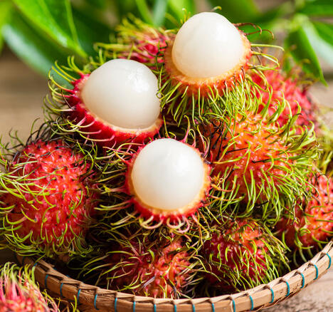 Rambutan