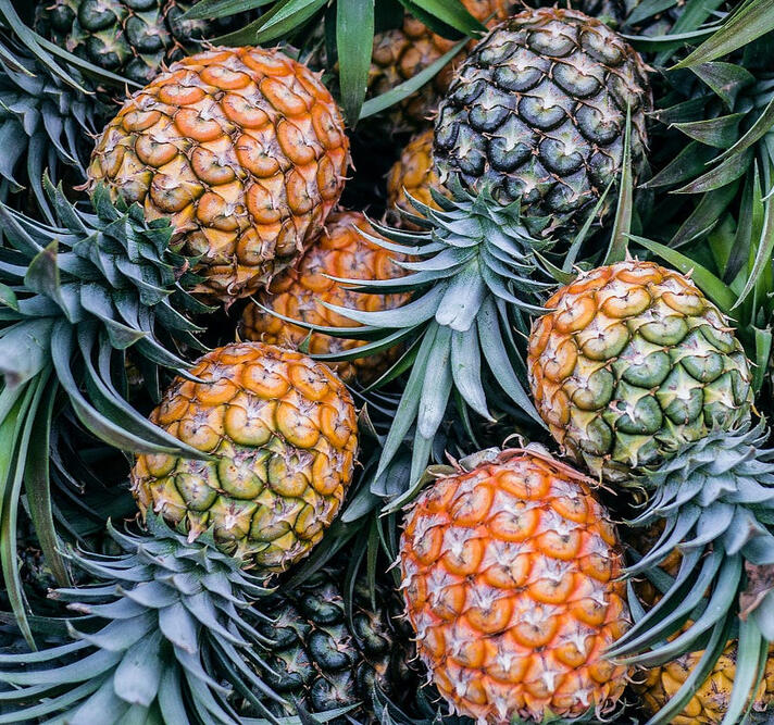 Pineapple