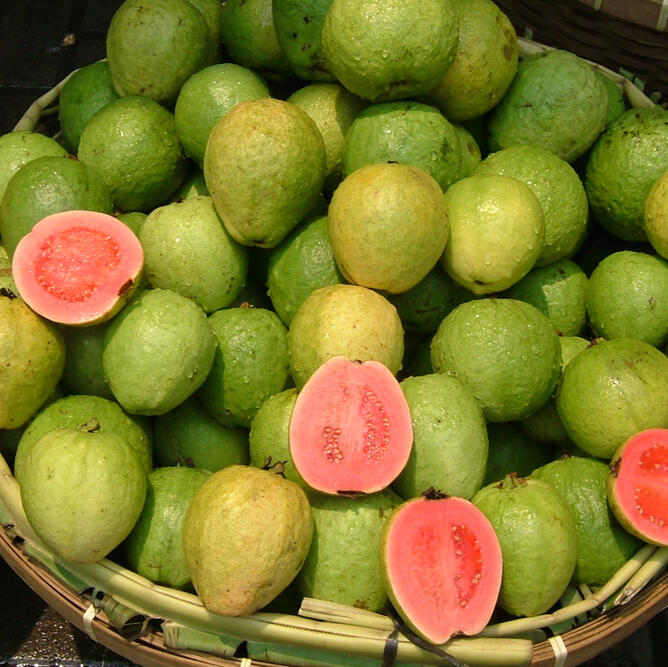 Guava