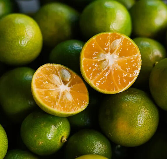 South Sea Lemon